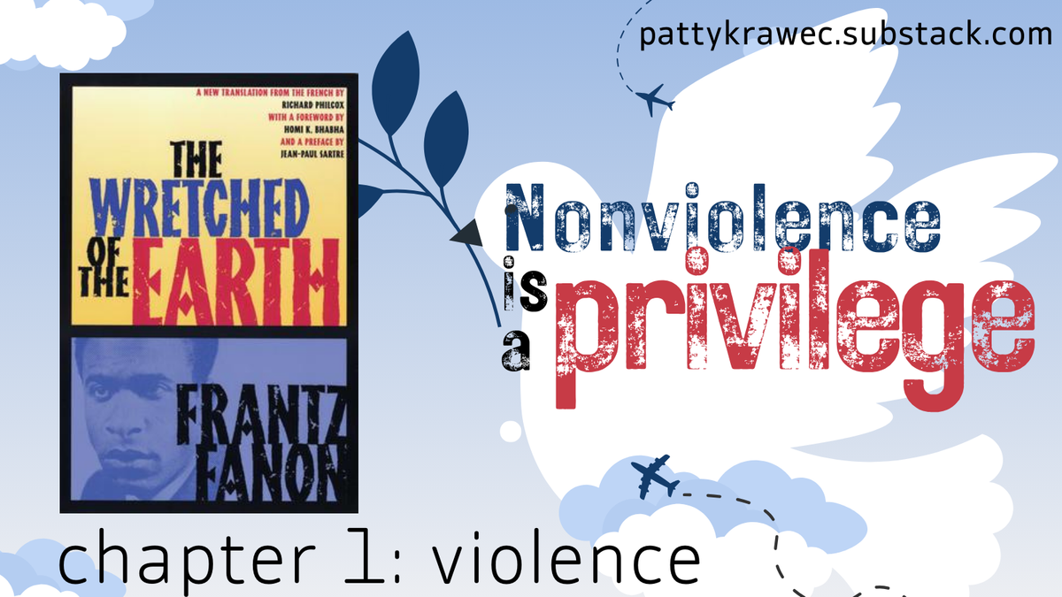 Nonviolence is a privilege