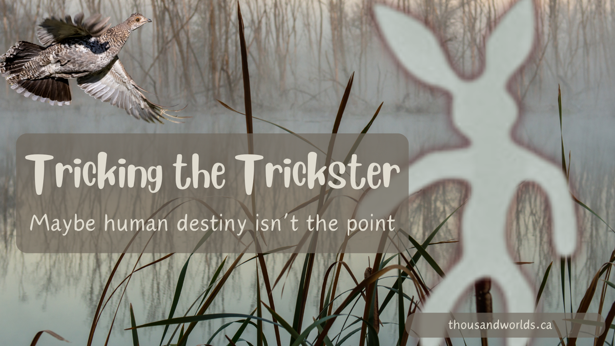 Tricking the Trickster