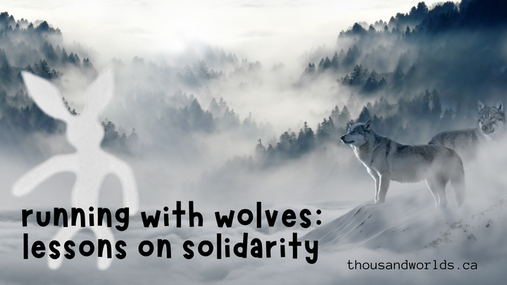 running with wolves: lessons on solidarity. rabbit silhouette against a foggy mountain with wolves